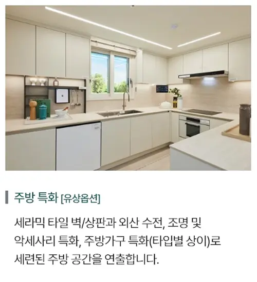 아파트 옵션 12
